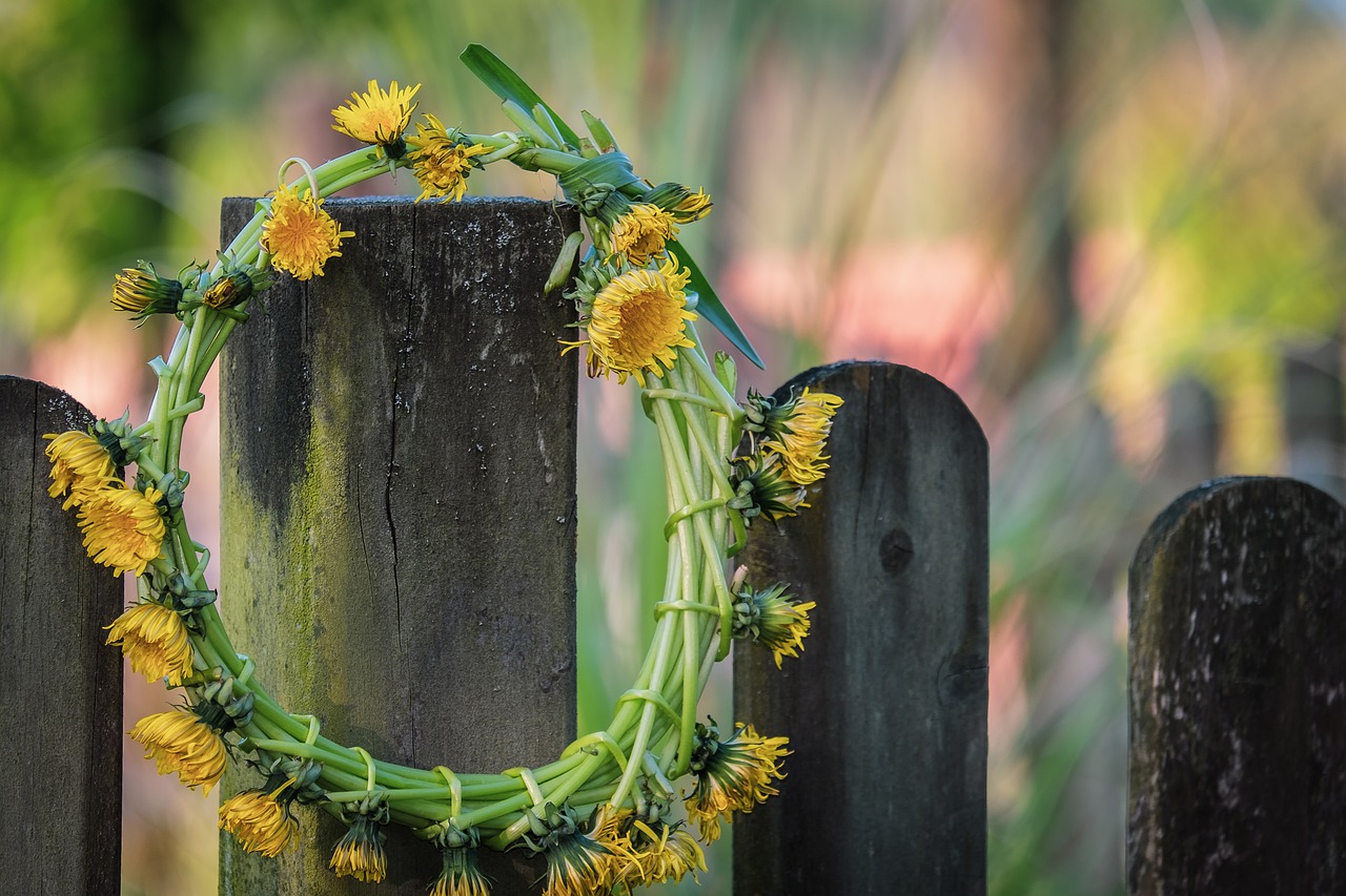 dandelion, wreath, bound